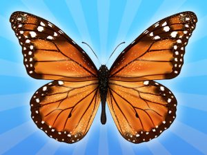 MergeButerfly: 2048!
